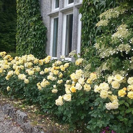 Courtyard Cottage Carlow Exteriör bild